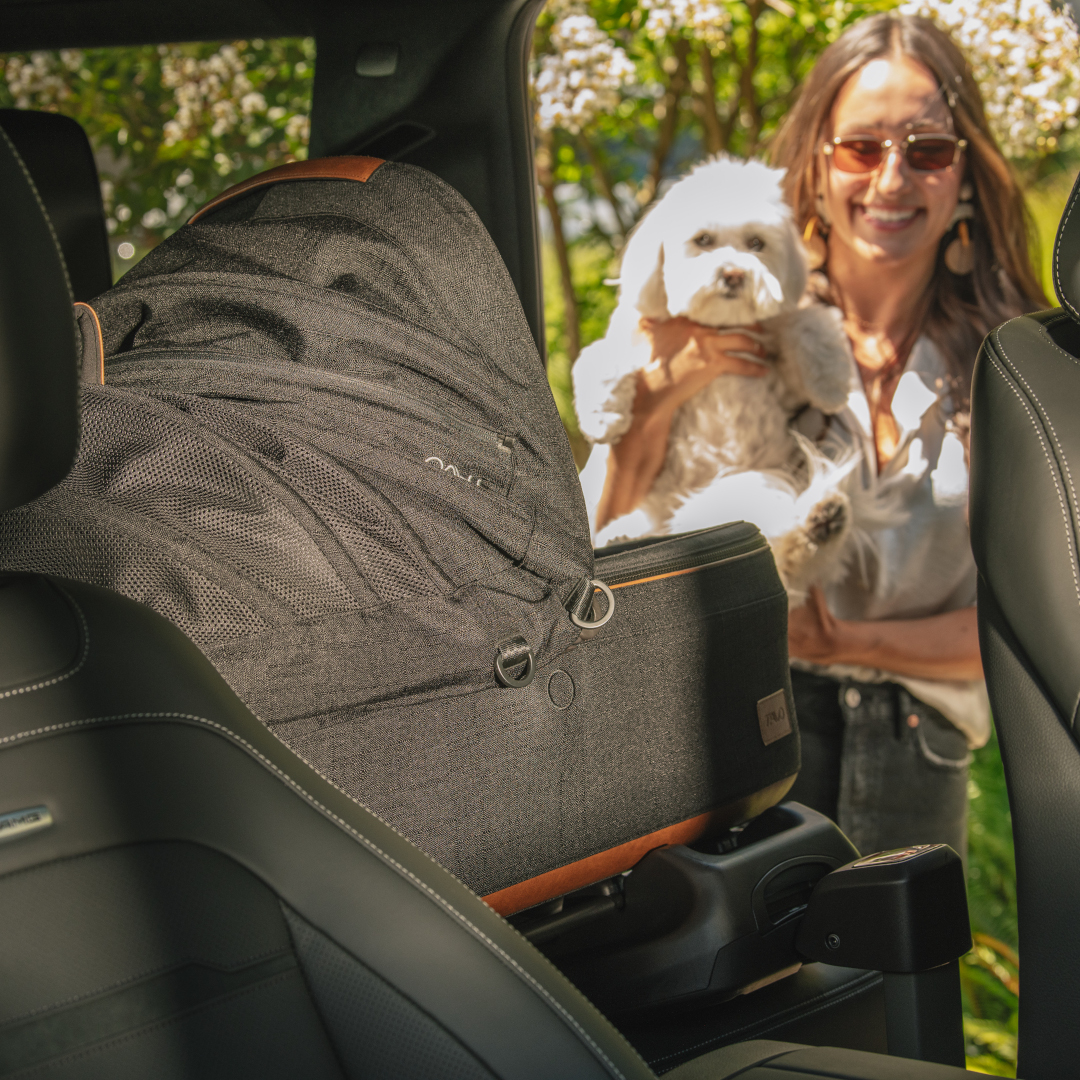 Sistem de transport si protectie pentru animale de companie Maeve Small Flex Onyx, max 12 kg [3]