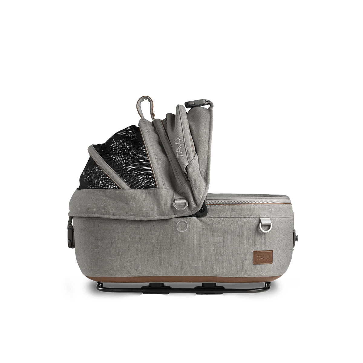 maeve-small-flex-merle [8]