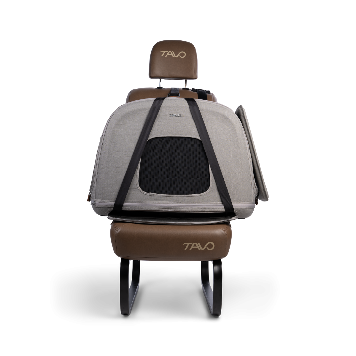 crispin-medium-merle [2]