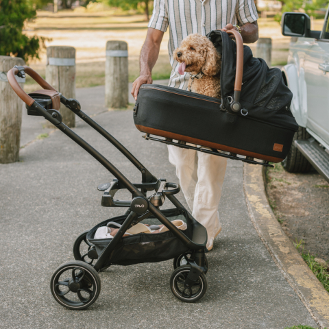 Cadru carucior pentru animale de companie Roscoe Chocolate destinat sistemului de protectie Maeve [4]