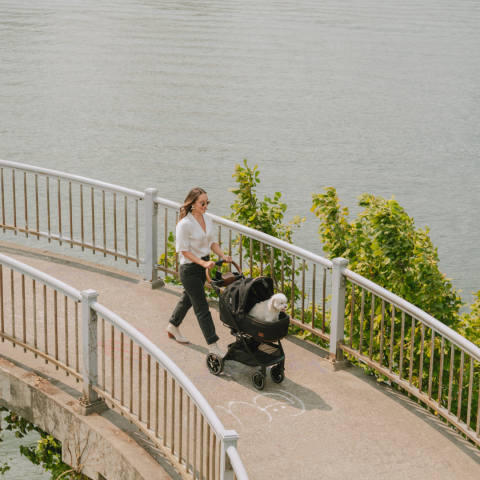 Cadru carucior pentru animale de companie Roscoe Chocolate destinat sistemului de protectie Maeve [8]