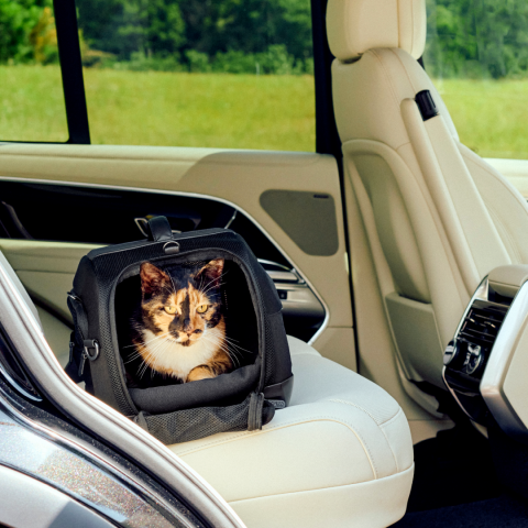 Sistem transport pentru animale Dupree [1]