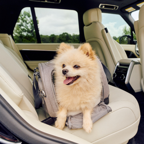 Sistem transport pentru animale Dupree [1]