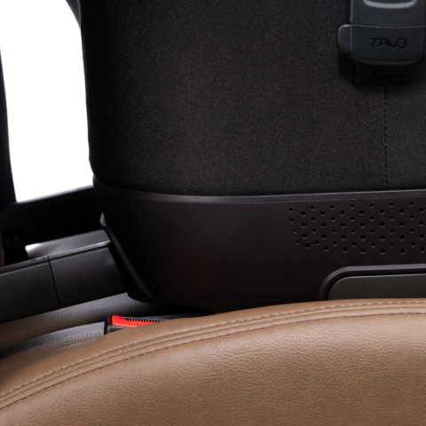 maeve-iso-5x-merle [6]