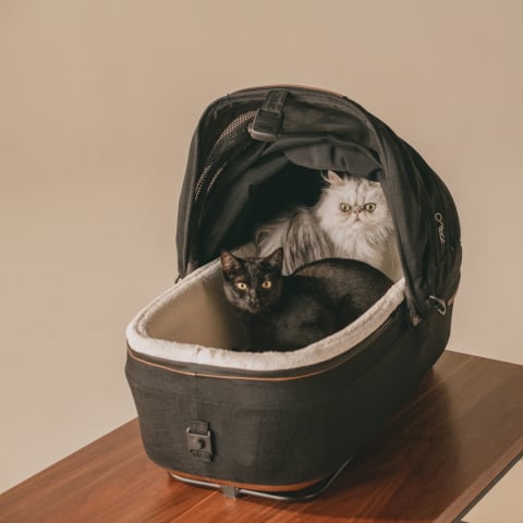 maeve-small-flex-brindle [10]