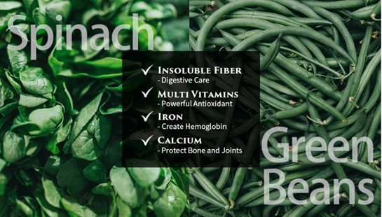 Cherie Hrana Umedă pentru Pisici, Skin and Coat, Grain Free Ton cu Fasole Verde, 80g [4]