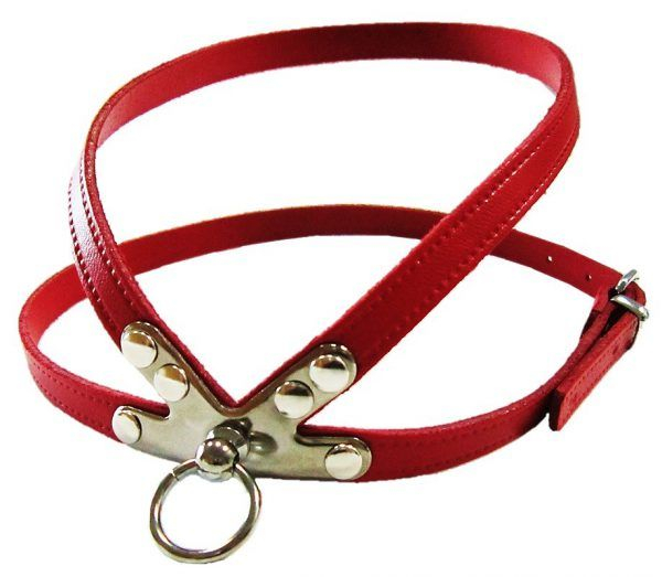 ham-clasic-pet-expert-rosu-nr4 [1]