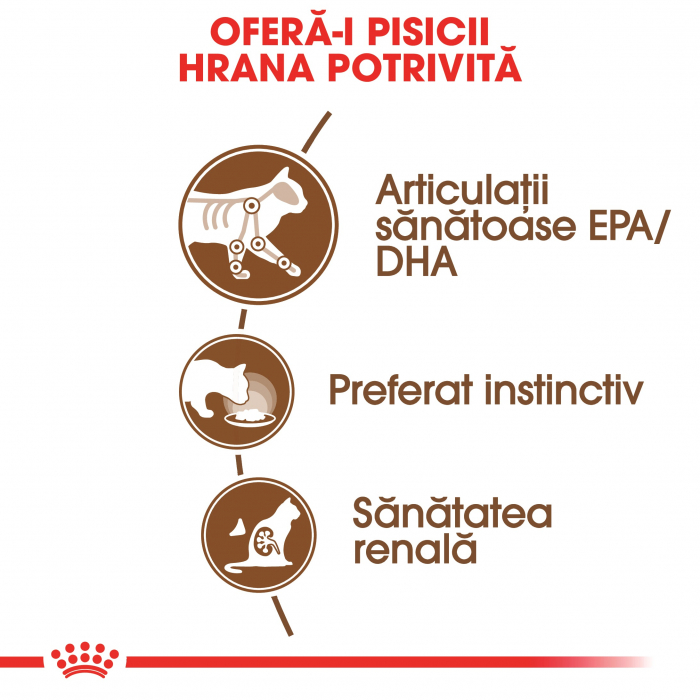 Royal Canin Ageing 12+, Hrana umedă pentru pisici Senioare, Plic 85g [5]