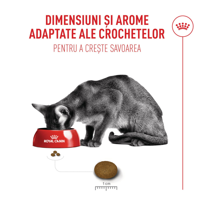 Royal Canin Savour Exigent, Hrana Uscată pentru Pisici, 10kg [3]