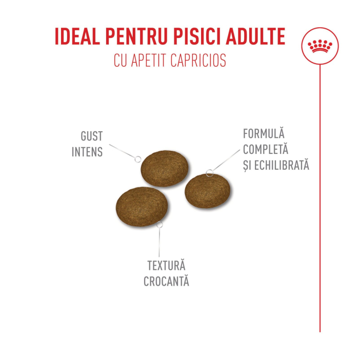 Royal Canin Savour Exigent, Hrana Uscată pentru Pisici, 10kg [4]