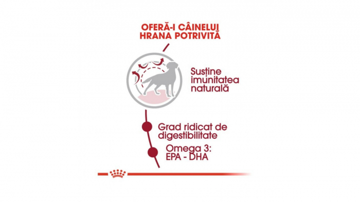 royal-canin-medium-adult-hrana-uscata-caini [3]