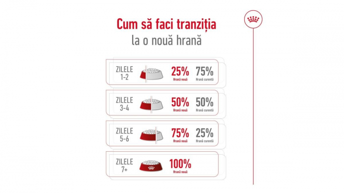 Royal Canin Mini Adult, Hrana Uscata pentru Câini de Talie Mică [8]