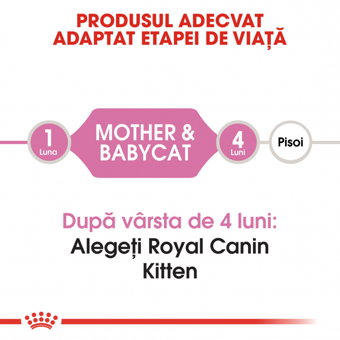 Royal Canin Mother & BabyCat, Hrana uscata pentru pisici, 400g [6]