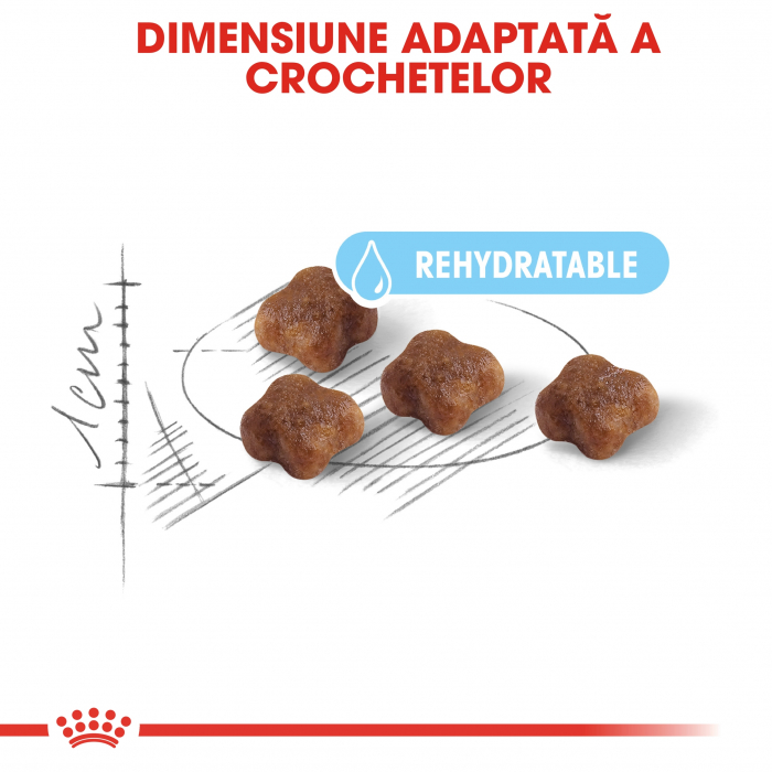 Royal Canin Mother & BabyCat, Hrana uscata pentru pisici, 400g [3]