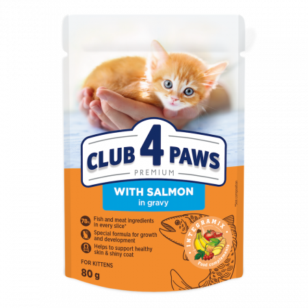 Hrana Pisici - Club4Paws Kitten, hrană umedă pentru pisici junior, somon în sos, 80g