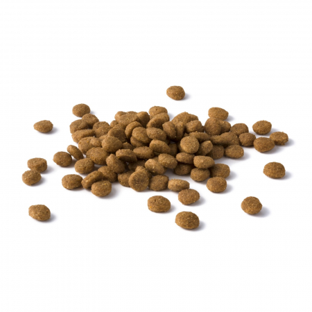 DOG CHOW Sensitive, Hrană Uscată Câini Adulți, Somon [2]