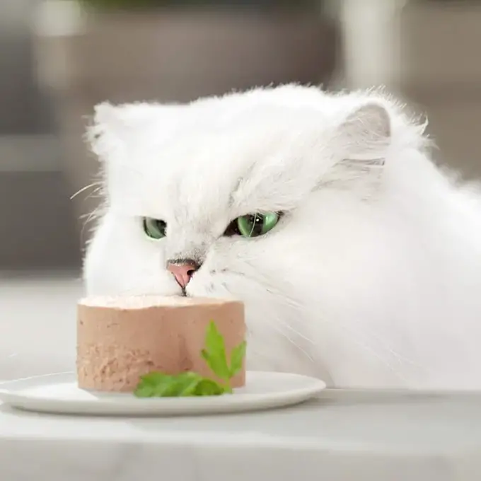 Gourmet Gold Mousse, Hrană Umedă pentru Pisici, Pate Curcan, 85g – Textură fină și aerată! [2]
