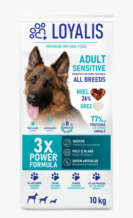 Hrana Uscata - Loyalis Adult Sensitive hrană câini miel și orez 10kg