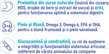 Loyalis Adult Sensitive hrană câini miel și orez 10kg [2]
