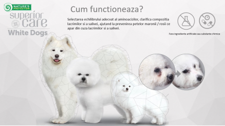 hrana-caini-junior-blana-alba-natures-protection-1-5kg [4]