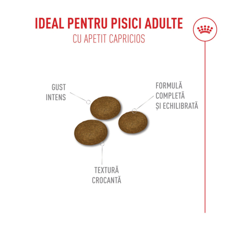 Royal Canin Savour Exigent, Hrana Uscată pentru Pisici, 10kg [3]