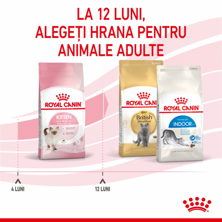 Royal Canin Kitten – Hrană uscată pentru pisici junior (4-12 luni) [9]