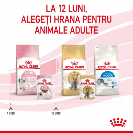 royal-canin-kitten-hrana-umeda-pisici-85g [9]