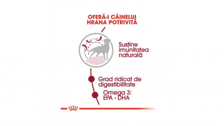 royal-canin-medium-adult-hrana-uscata-caini [2]