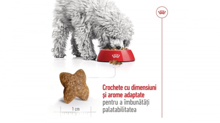 Royal Canin Mini Adult, Hrana Uscata pentru Câini de Talie Mică [2]