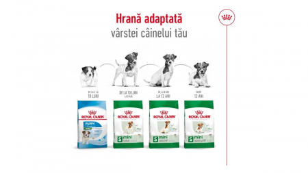 Royal Canin Mini Adult, Hrana Uscata pentru Câini de Talie Mică [8]
