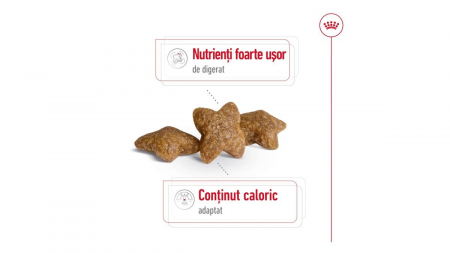 Royal Canin Mini Adult, Hrana Uscata pentru Câini de Talie Mică [1]