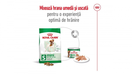 Royal Canin Mini Adult, Hrana Uscata pentru Câini de Talie Mică [9]