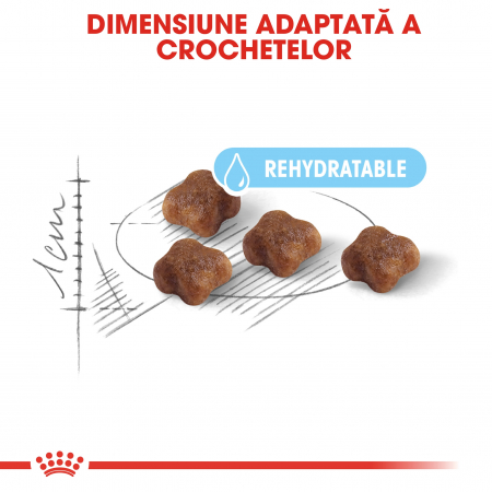 Royal Canin Mother & BabyCat, Hrana uscata pentru pisici, 400g [2]