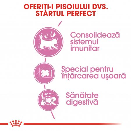 Royal Canin Mother & BabyCat, Hrana uscata pentru pisici, 400g [3]