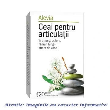 Ceaiuri - Ceai pentru Articulații, 20 plicuri