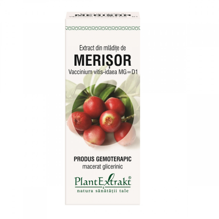 Tincuri, extracte si uleiuri vegetale - Extract din Mlădițe de Merișor 50ml