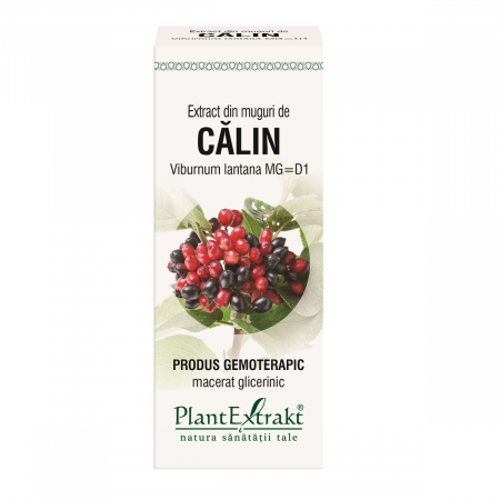 Tincuri, extracte si uleiuri vegetale - Extract din Muguri de Călin 50ml