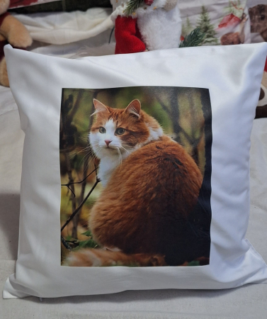 Perne Personalizate [1]