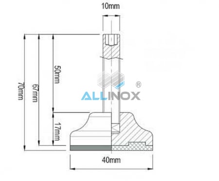 picior cu filet din inox [2]