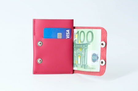 Portofel Visanis [1]