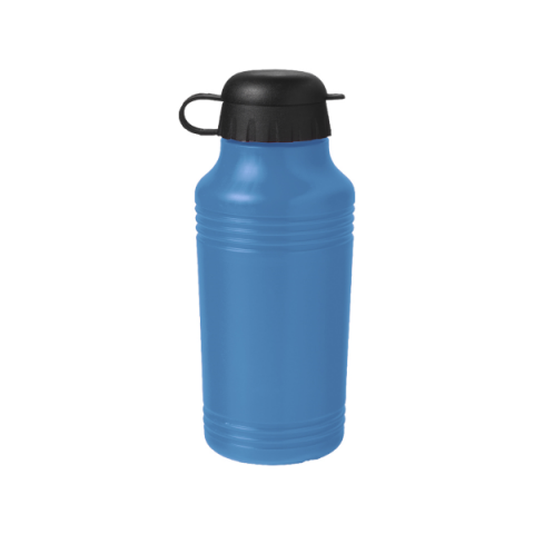 Accesorii-Design-Ornament - Bidon apa Junior 250ml, culoare albastru