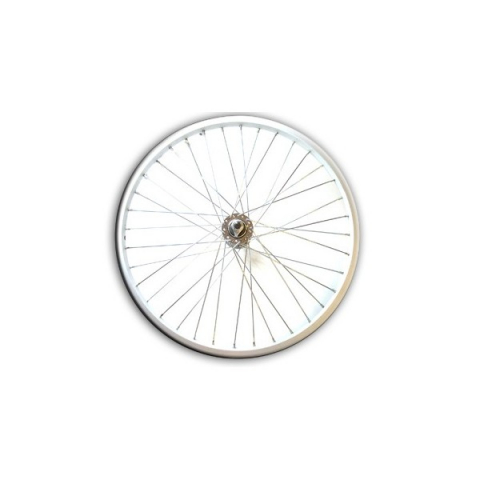 Roți-Accesorii - Roata Spate 20 Cp