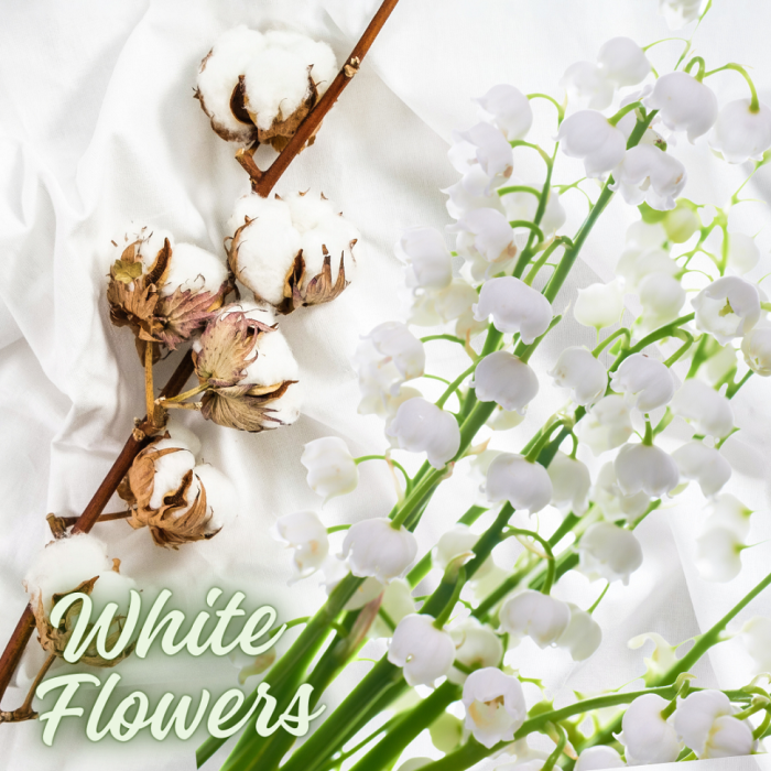 K2 DEOCAR 250ML FRESH CITRUS [2]