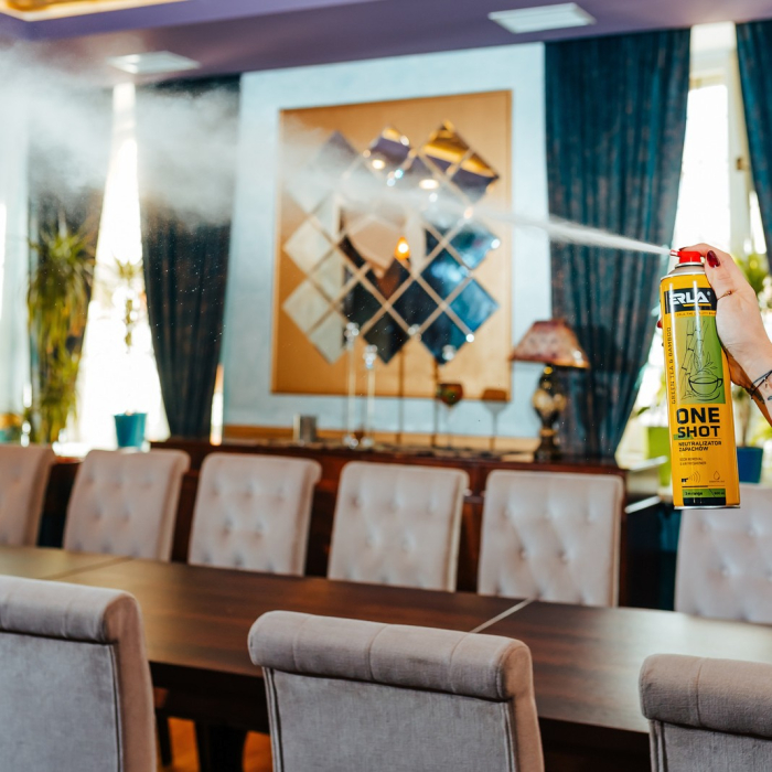 K2 ERLA ONE SHOT 600 GREEN TEA&BAMBOO NEUTRALIZATOR SI ODORIZANT [4]