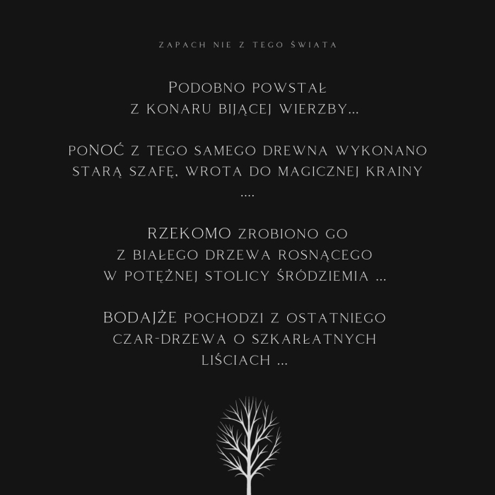 K2 EVOS BOSS ODORIZANT LEMN [10]