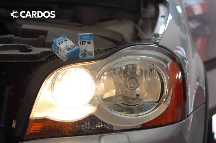 K2 HALOGEN H7 12V 55W PX26d [6]