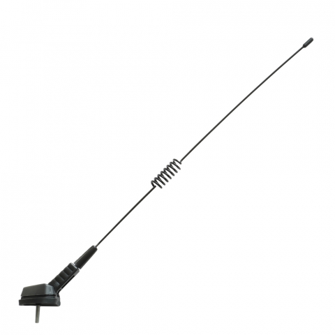 ACCESORII AUTO - ANTENA PAVILION CU ARC