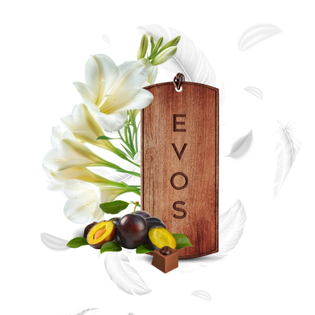 K2 EVOS GRACE ANGEL ODORIZANT LEMN [4]