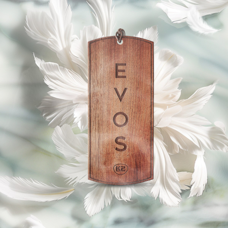 K2 EVOS GRACE ANGEL ODORIZANT LEMN [6]
