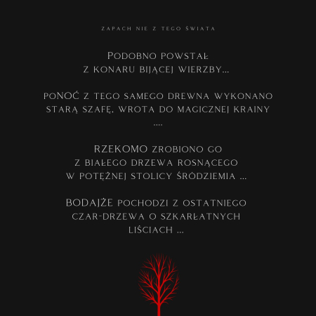 K2 EVOS SPARTA ODORIZANT LEMN [9]